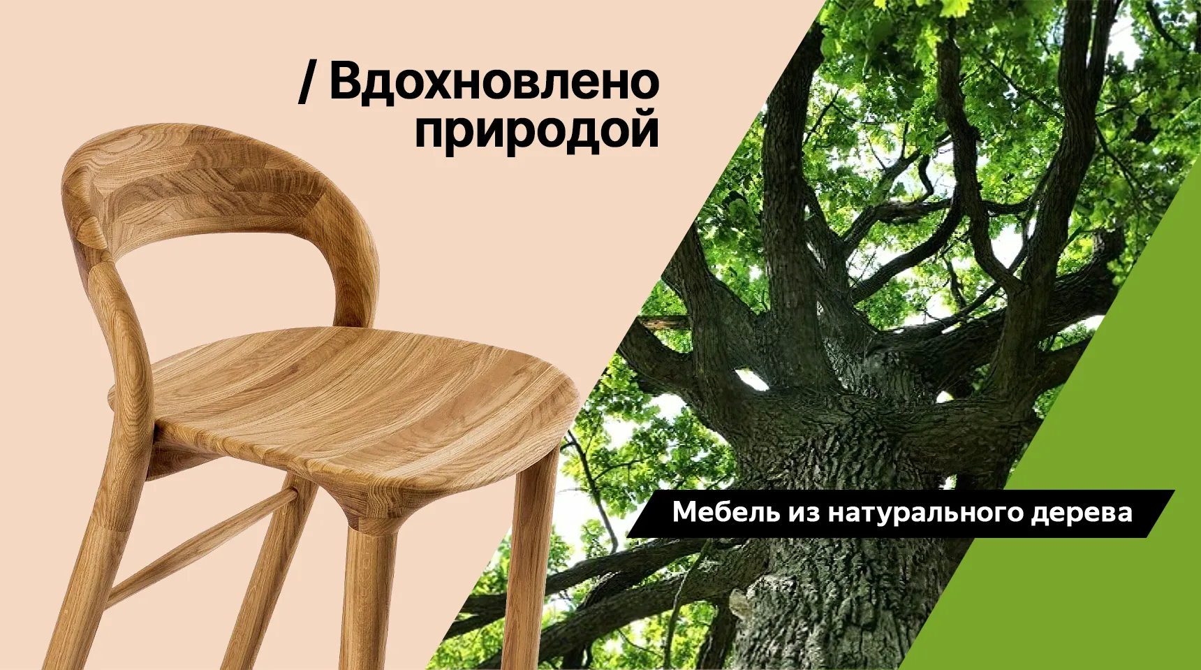 белфан