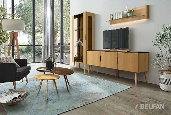 Гостиная Elva #4