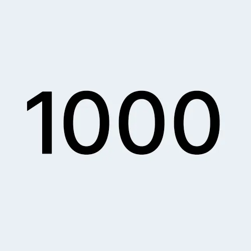 ширина 1000 мм