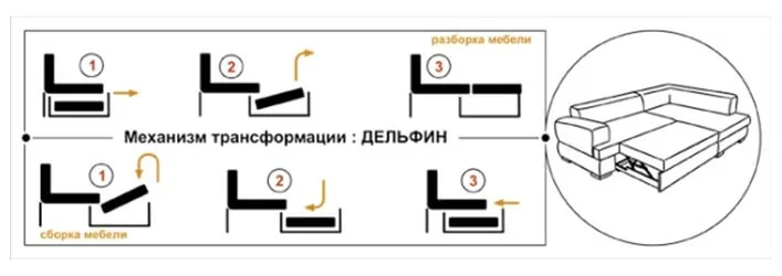 Дельфин