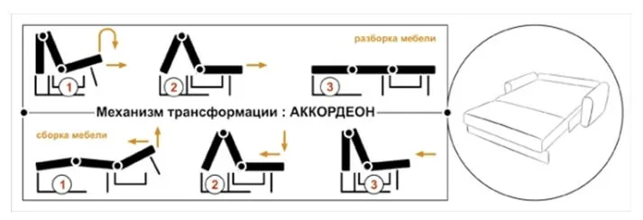 Аккордеон