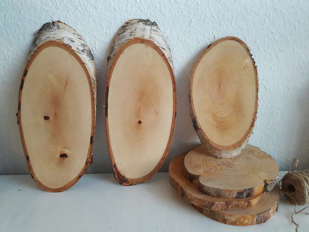 Береза обыкновенная  Береза обыкновенная