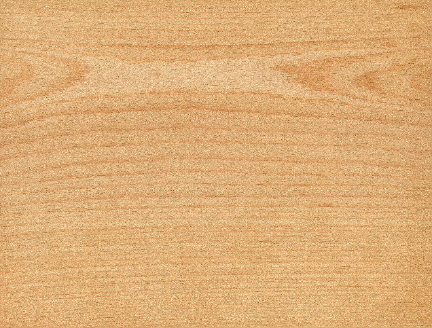 Массив бука