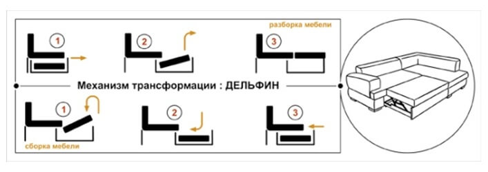 Дельфин Дельфин