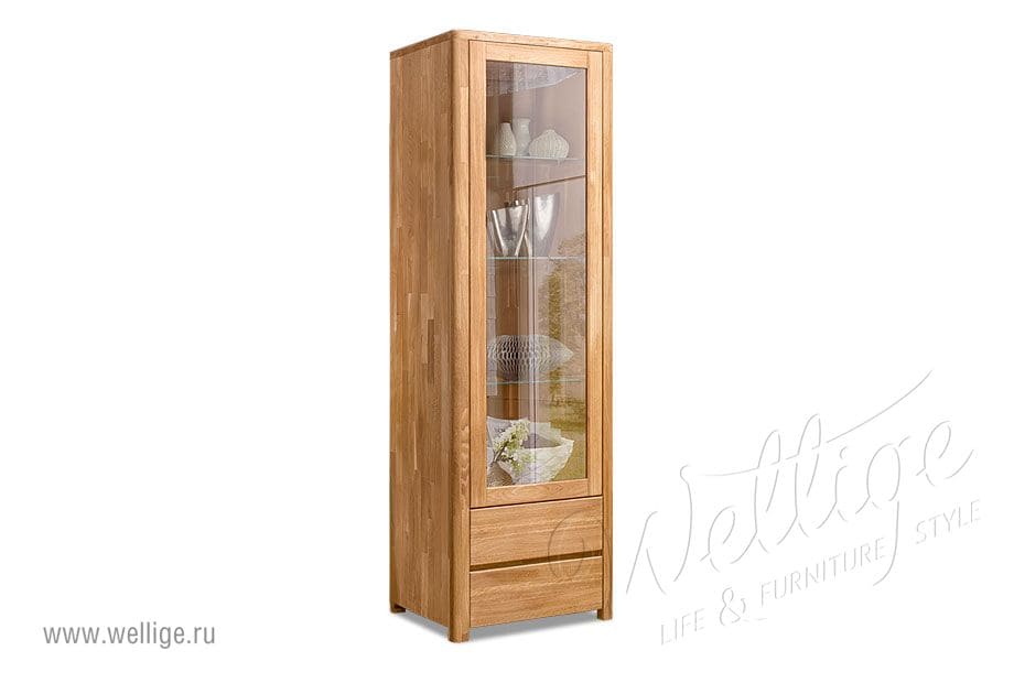 Шкаф-витрина в стиле лофт - прозрачные витрины Шкаф-витрина в стиле лофт