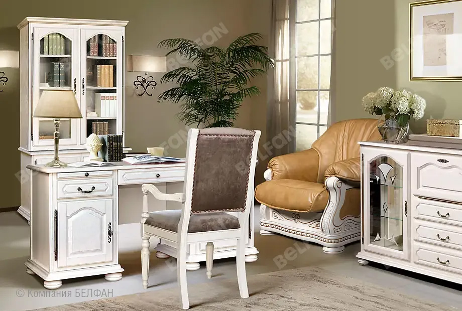 Книжные шкафы для домашней библиотеки 