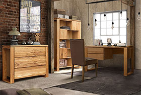 Купить мебель для кабинета Хедмарк в стиле Лофт в Выборге